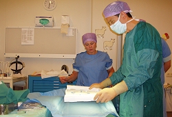 Cryostrippen spataderen